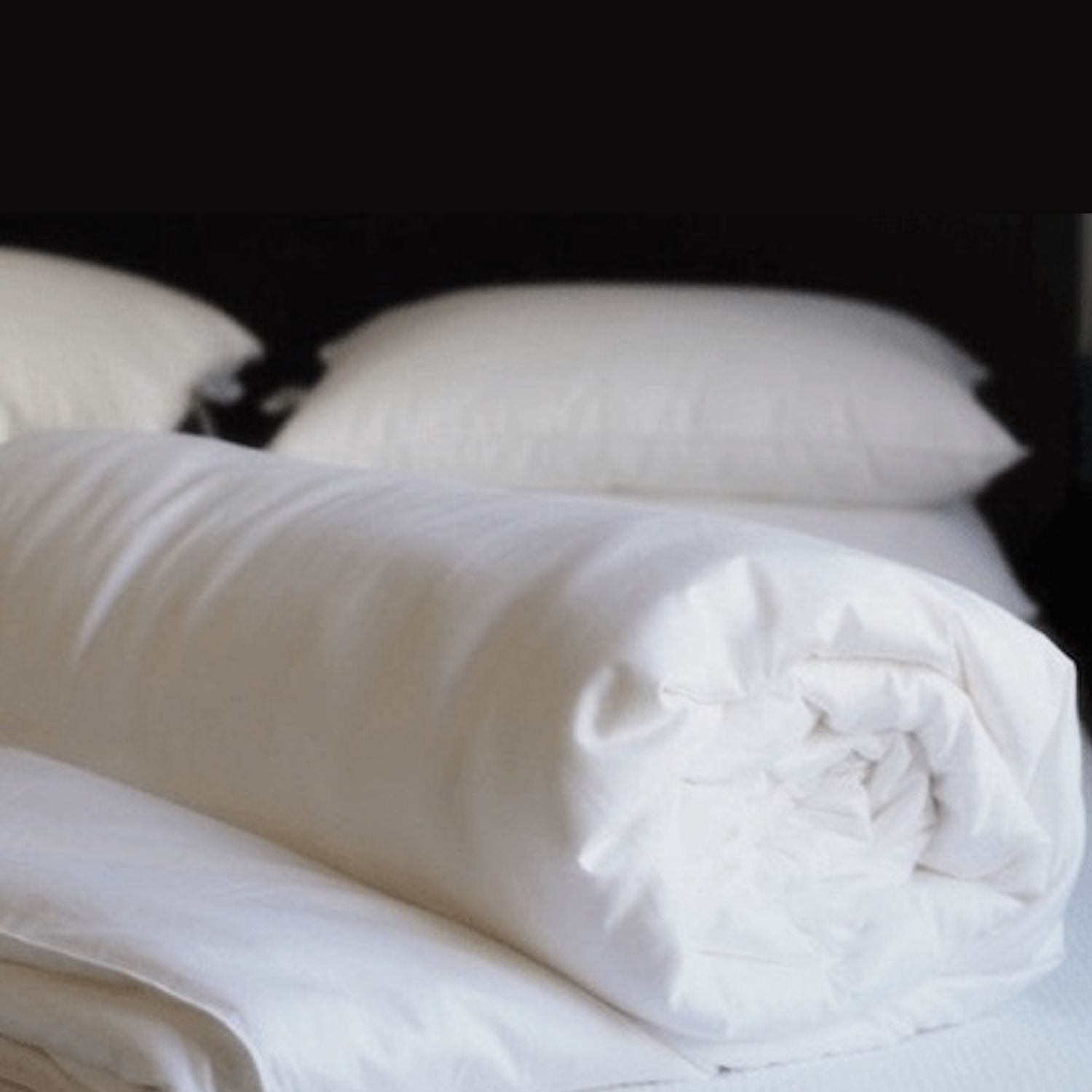 zijden_dekbed-zijden_dekbed-couette_en_soie-Bettdecke_aus_Seide_2e5de3e9-b923-46d1-b0a6-5ec7fa881e03