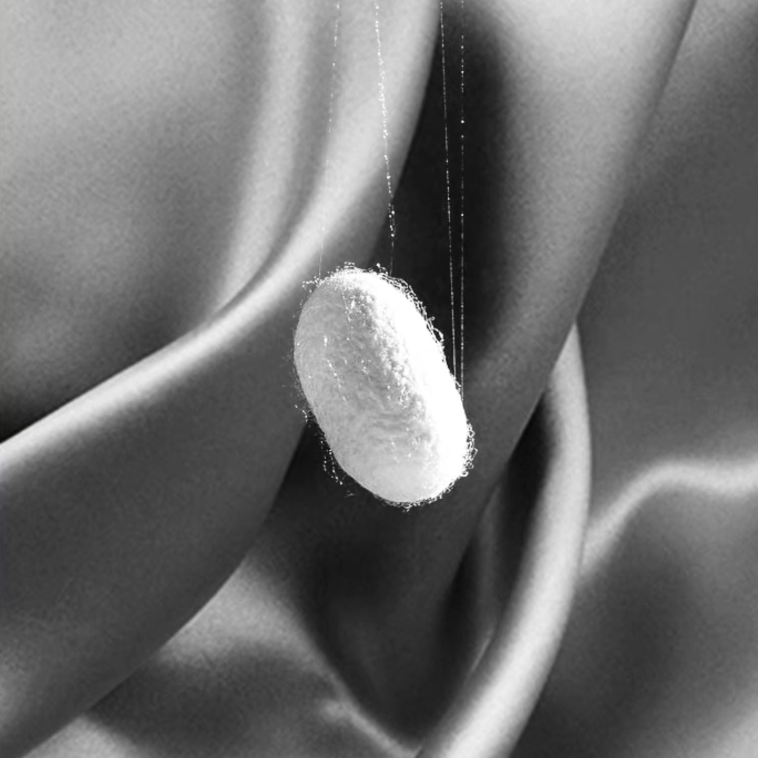 zijde-zijde-soie-seide